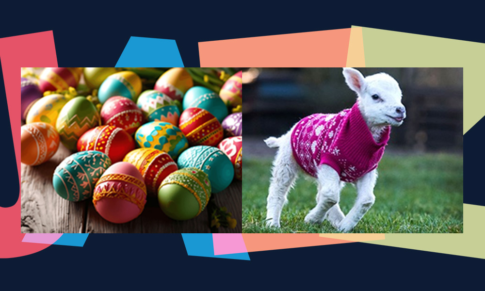 Splash Point Music | Professional Live Jazz Music